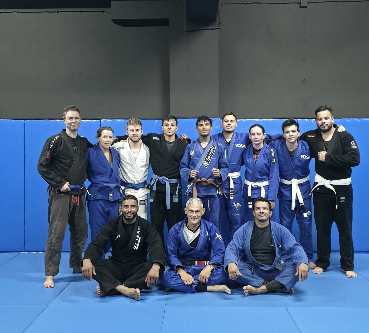 Jiu-jitsu na LSJ
