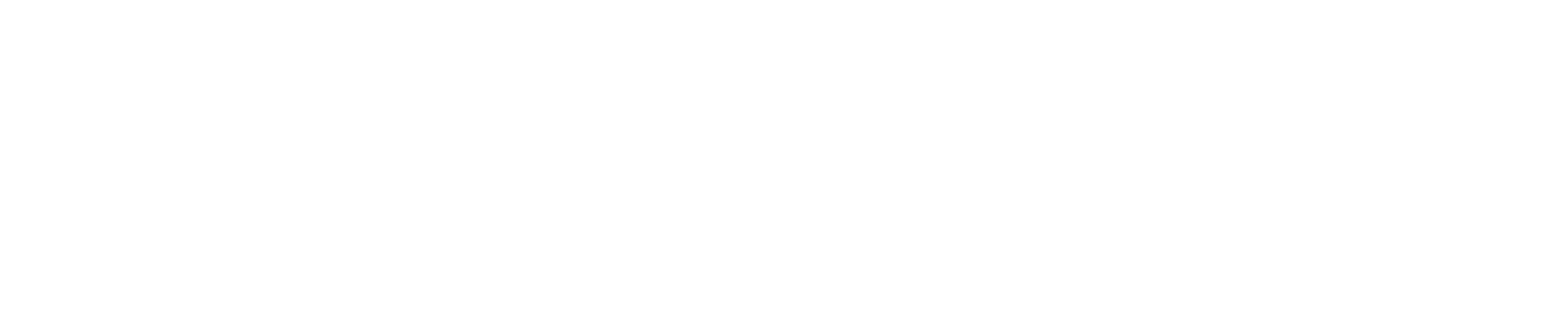 LSJ - Lifestyle Jiu Jitsu